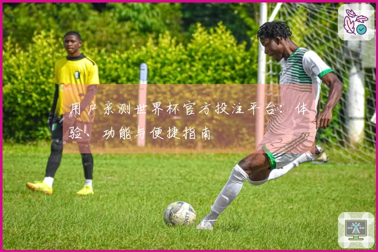 用户亲测世界杯官方投注平台：体验、功能与便捷指南