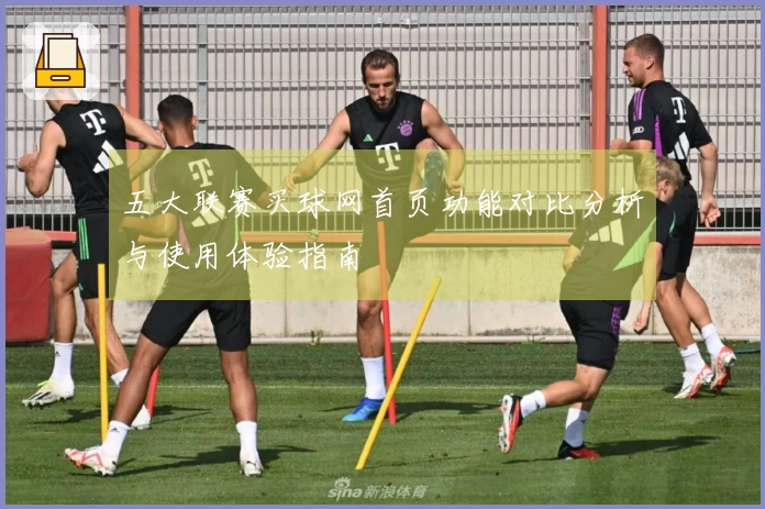 五大联赛买球网首页功能对比分析与使用体验指南