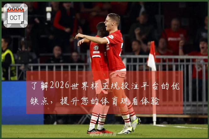 了解2026世界杯正规投注平台的优缺点，提升您的体育观看体验